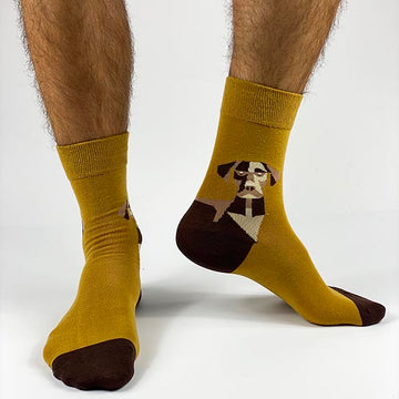 calzini, calze, calzino, calzini uomo, calze donna,  calza donna, calzini donna, calze particolari, calzini particolari, socks